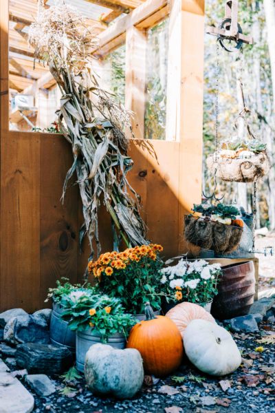 Fall flowers and pumpkin decor