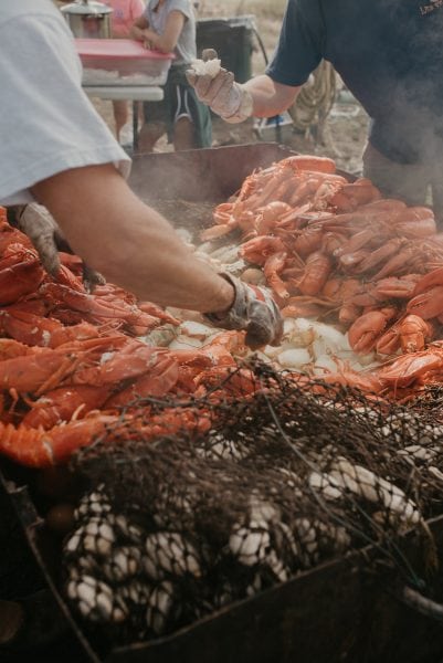 Knickerbocker Group lobster bake