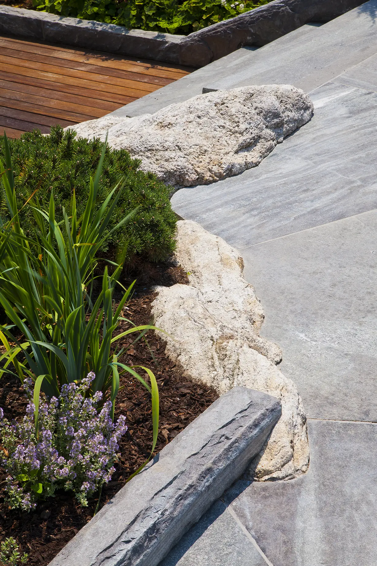 Stone path alongside garden
