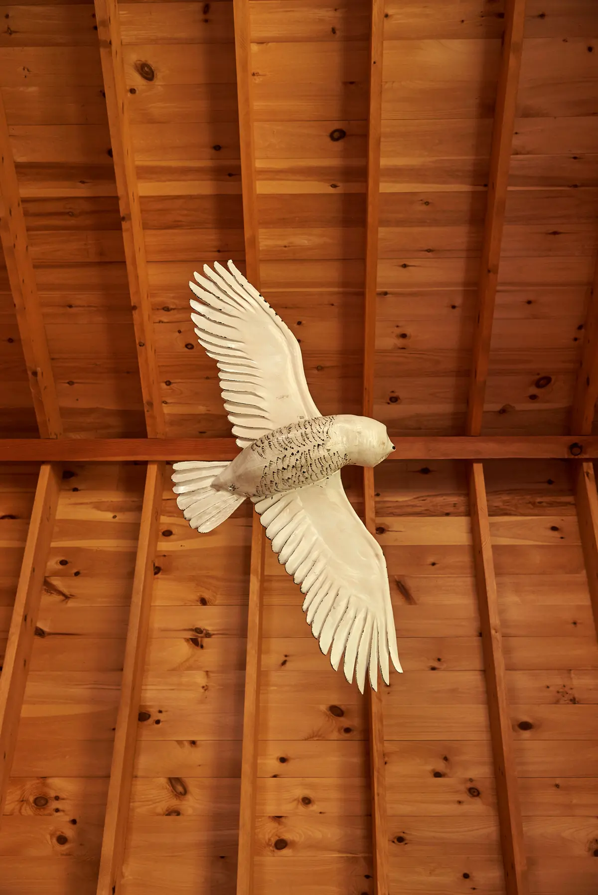 Owl decor at Little Acorn Cottage