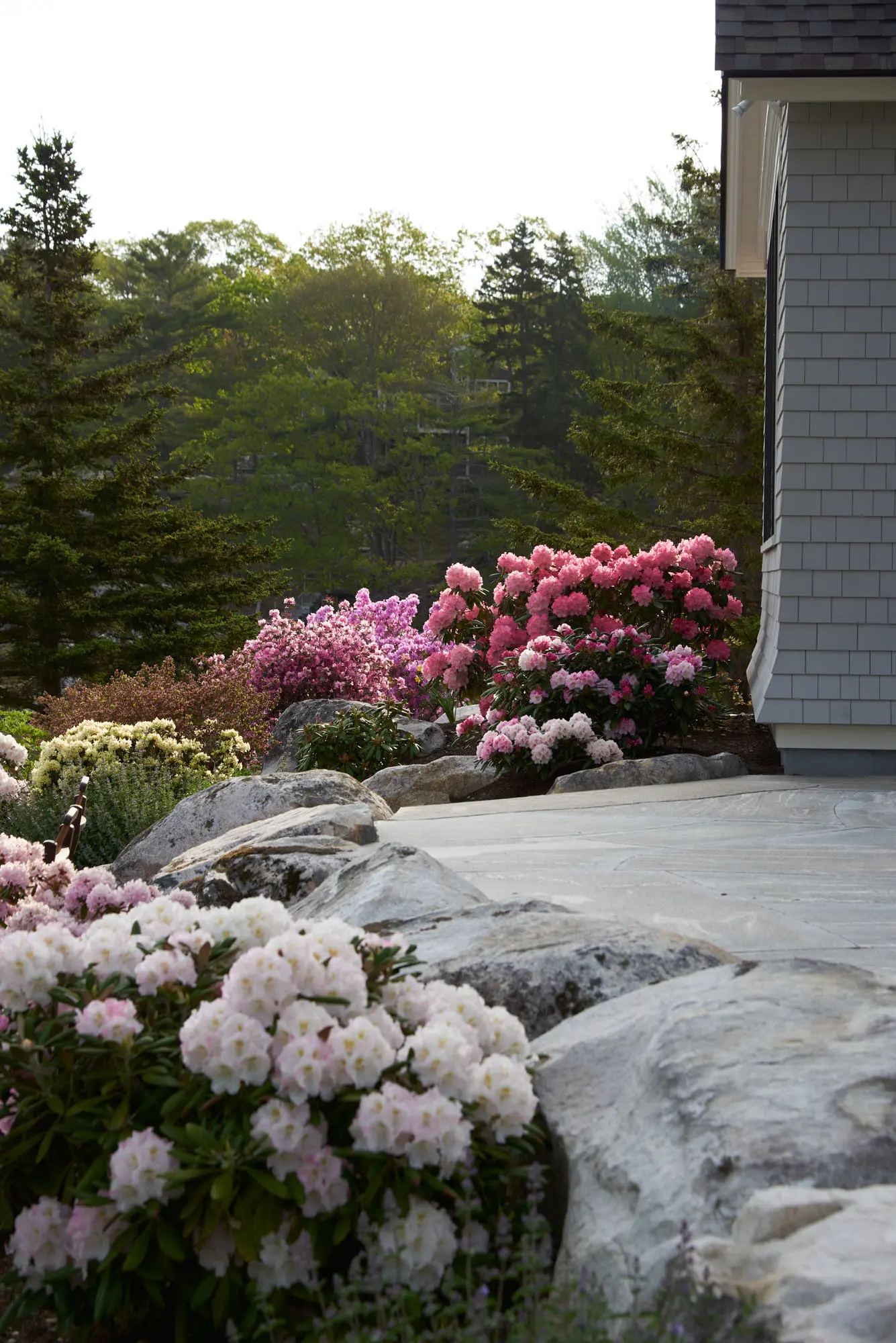 Surrounding gardens at the patio of Whales Pod
